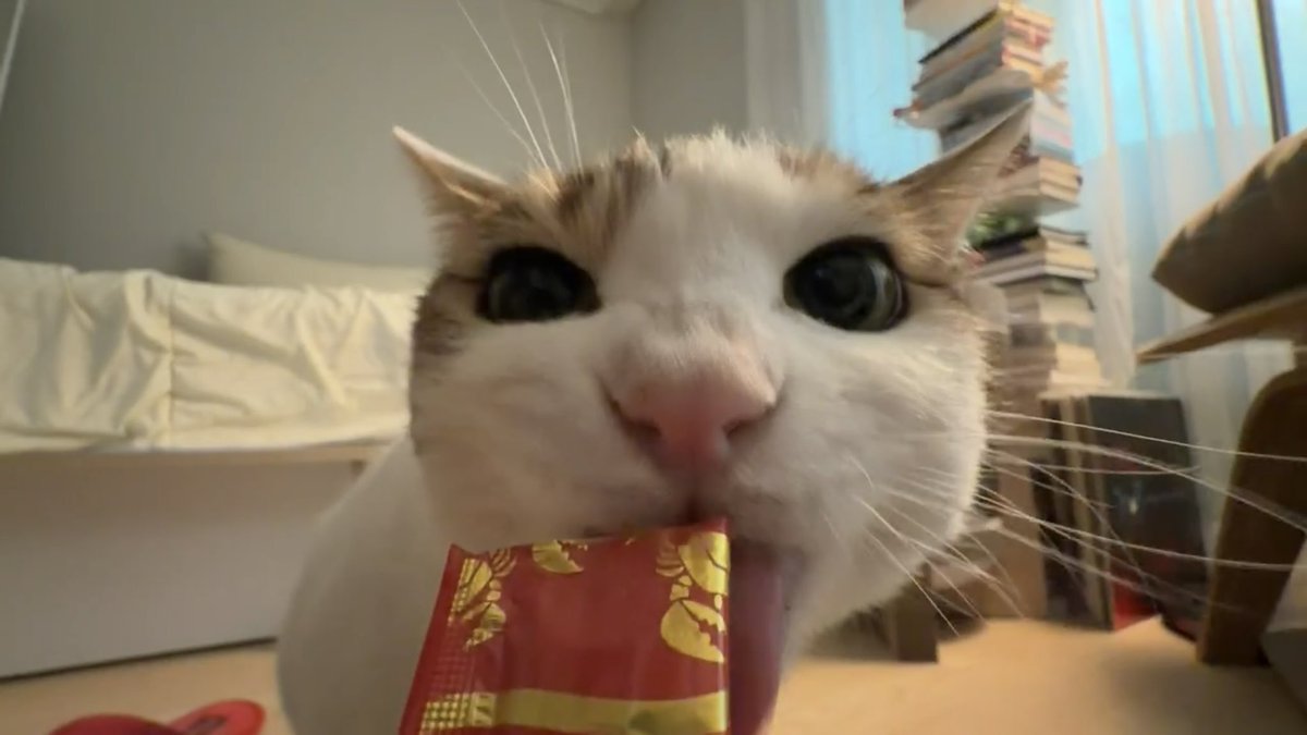 수목이 tweet media