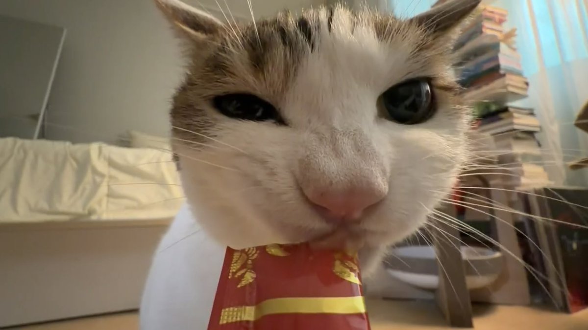 수목이 tweet media