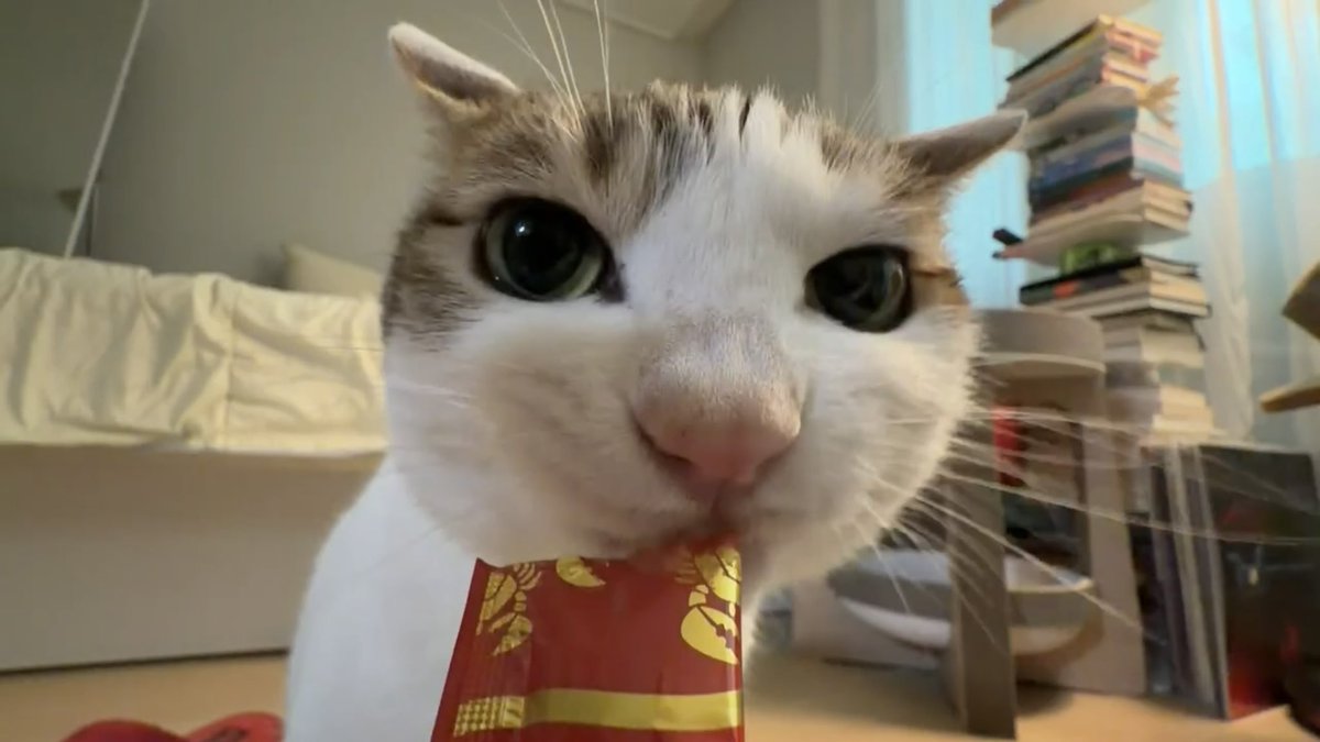 수목이 tweet media