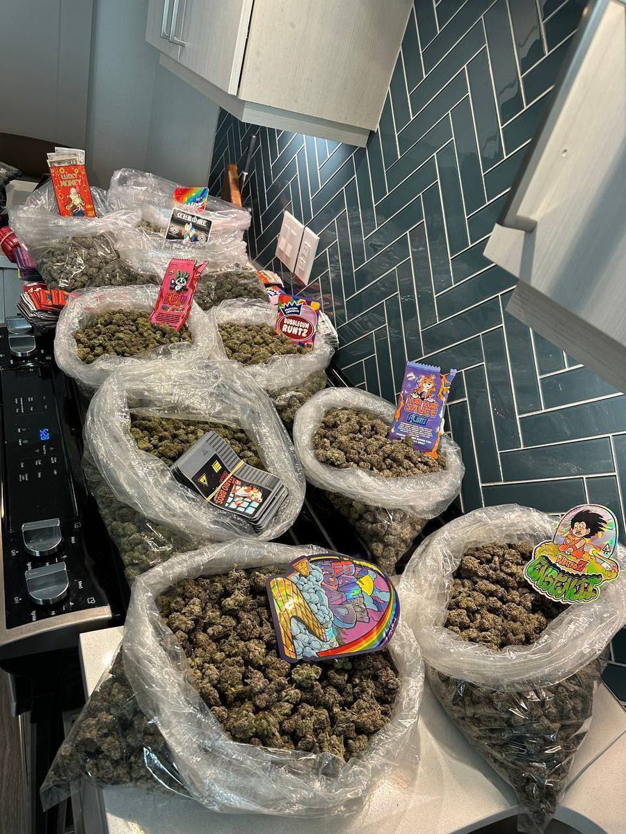 lorddave763's tweet photo. “Don’t sleep on Garland drop! 🔥 Purple Haze &amp; gas heavy in Garland 972/214, Mesquite, Rowlett ⛽️ Bulk Purple Haze, discreet. DM "GAS TX" now 💨 #TXWeed #GarlandWeed #DFWWeed #TexasWeed #PurpleHaze #PurpleHazeTX #TXPlug” https://t.co/fW5TUfXjDv