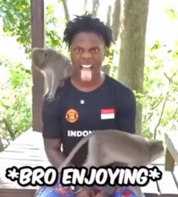 ZZZ Anonymous tweet media