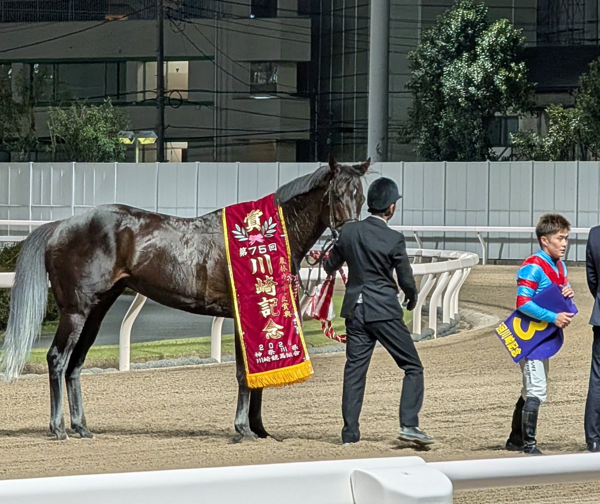 ChihiroSyohsa's tweet photo. 今日は川崎競馬場 https://t.co/QSTqdRr70R