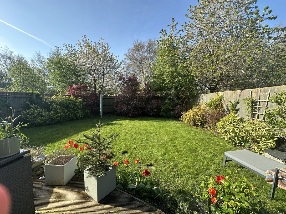 Munch Pudding™️ 🐈‍⬛ ✌🏼 🇵🇸 🇨🇺 🇬🇱 🇪🇺 tweet media