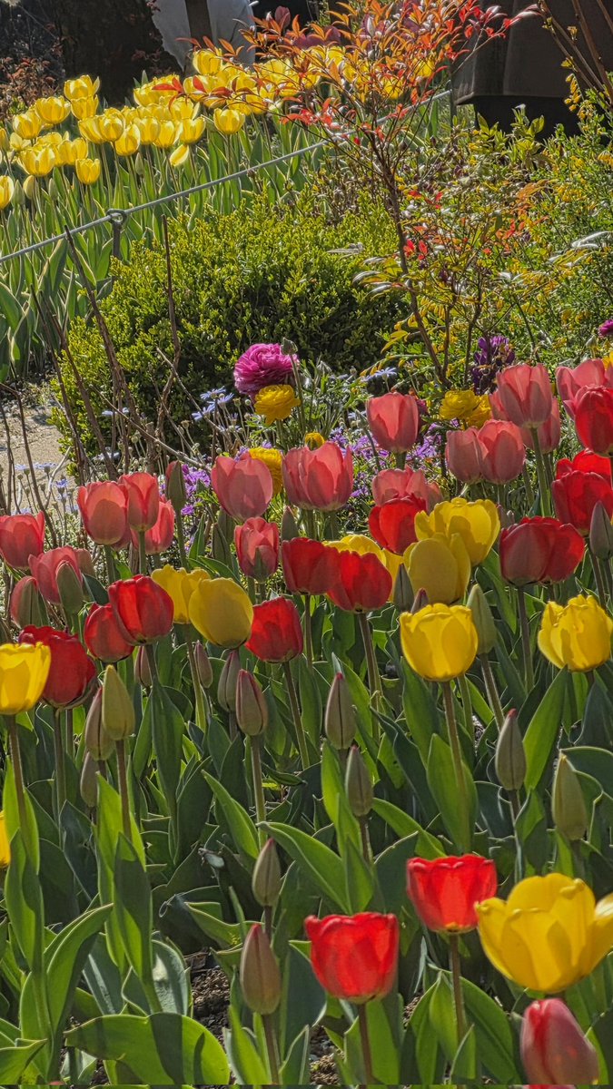 마케터 포포 tweet media