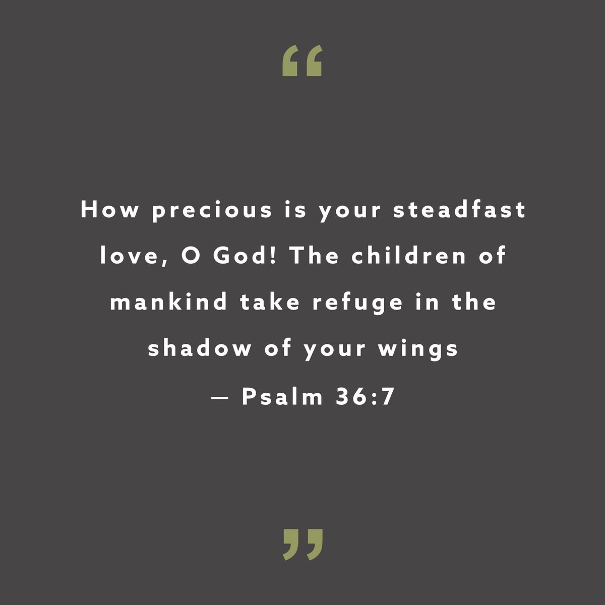 Danny Kwon tweet media