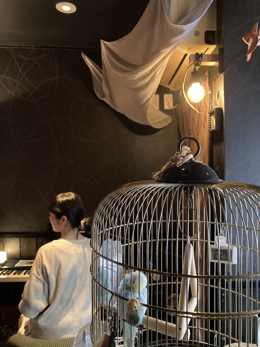 秋桜子 asako tweet media