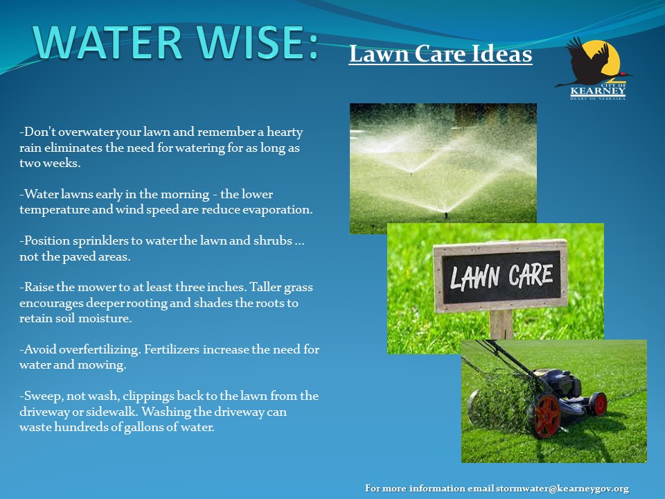 Daniel Lillis tweet media