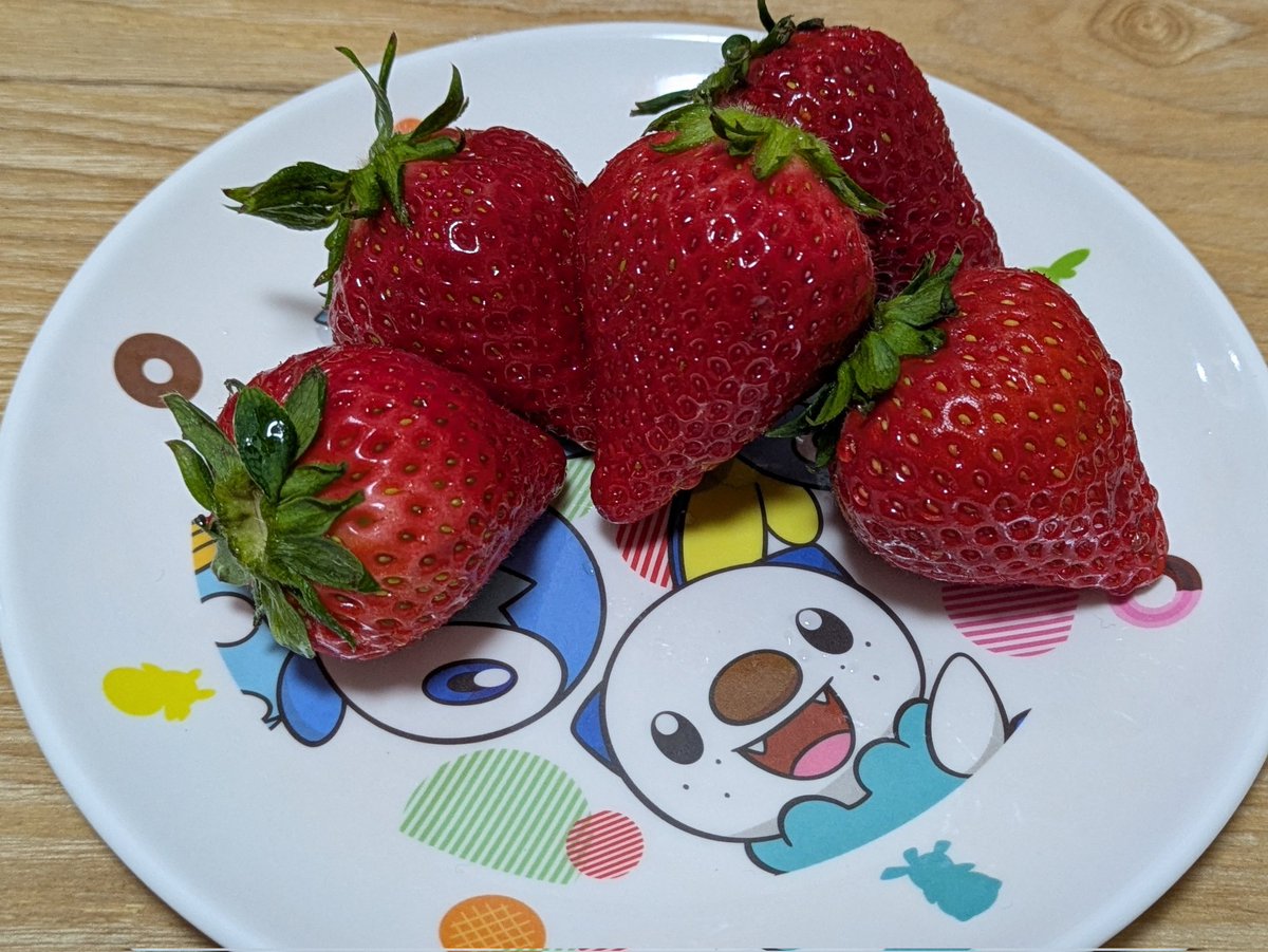 マンジュウ‼️ tweet media