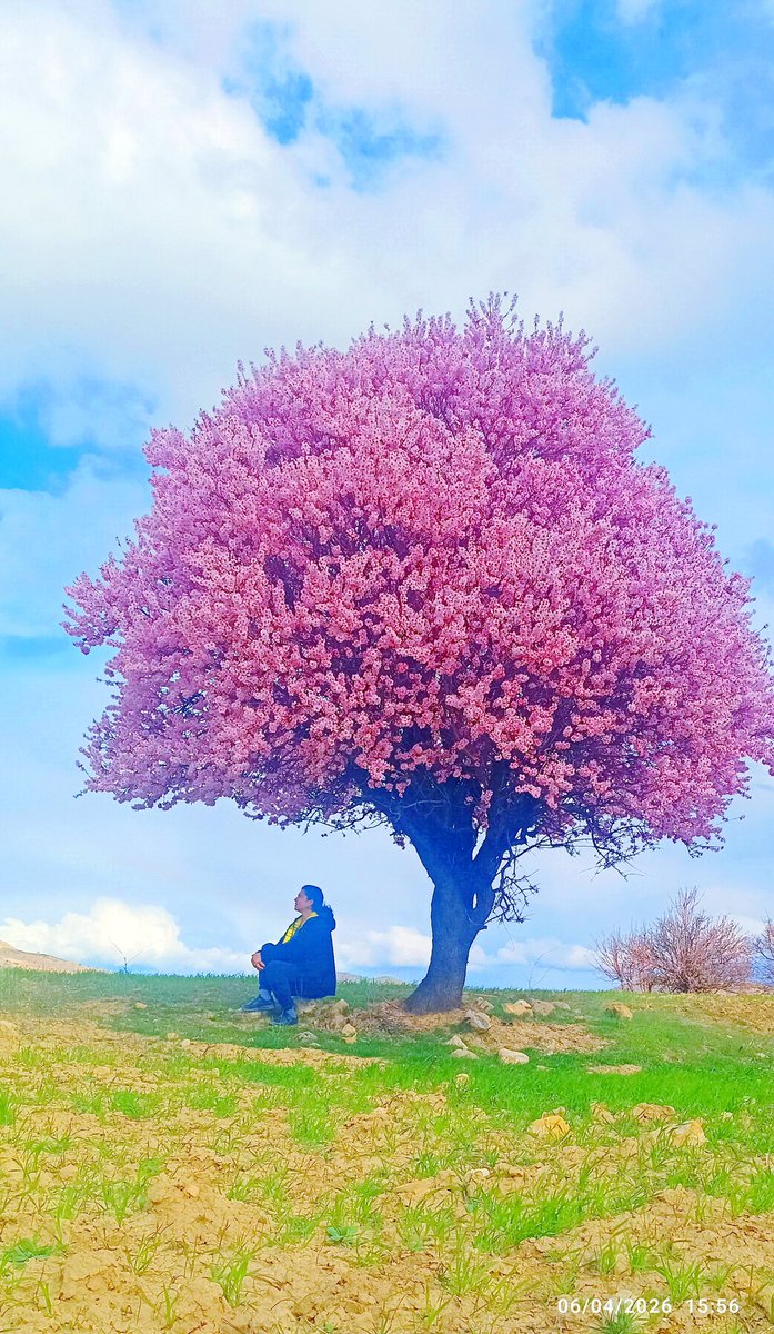 murat onay tweet media