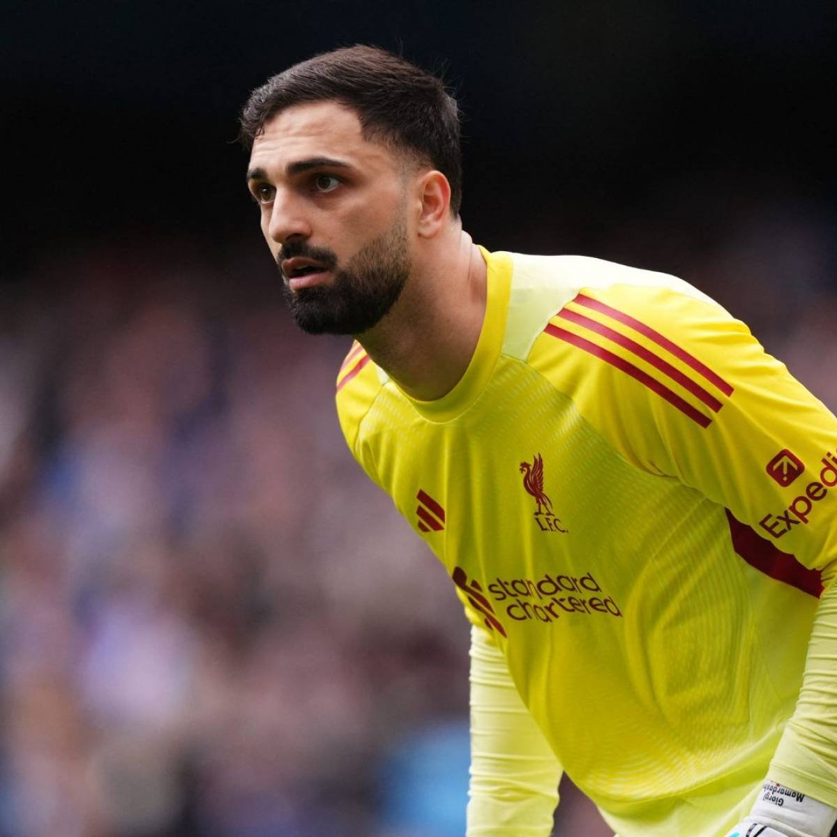 🇬🇪A big Champions League clash for us this evening as PSG takes on Liverpool, with both Kvaratskhelia and Mamardashvili set to start.

Should be a fun one.🍿