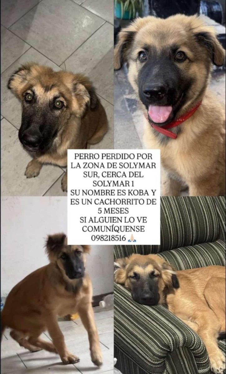 🇺🇾🌼🇮🇹 tweet media