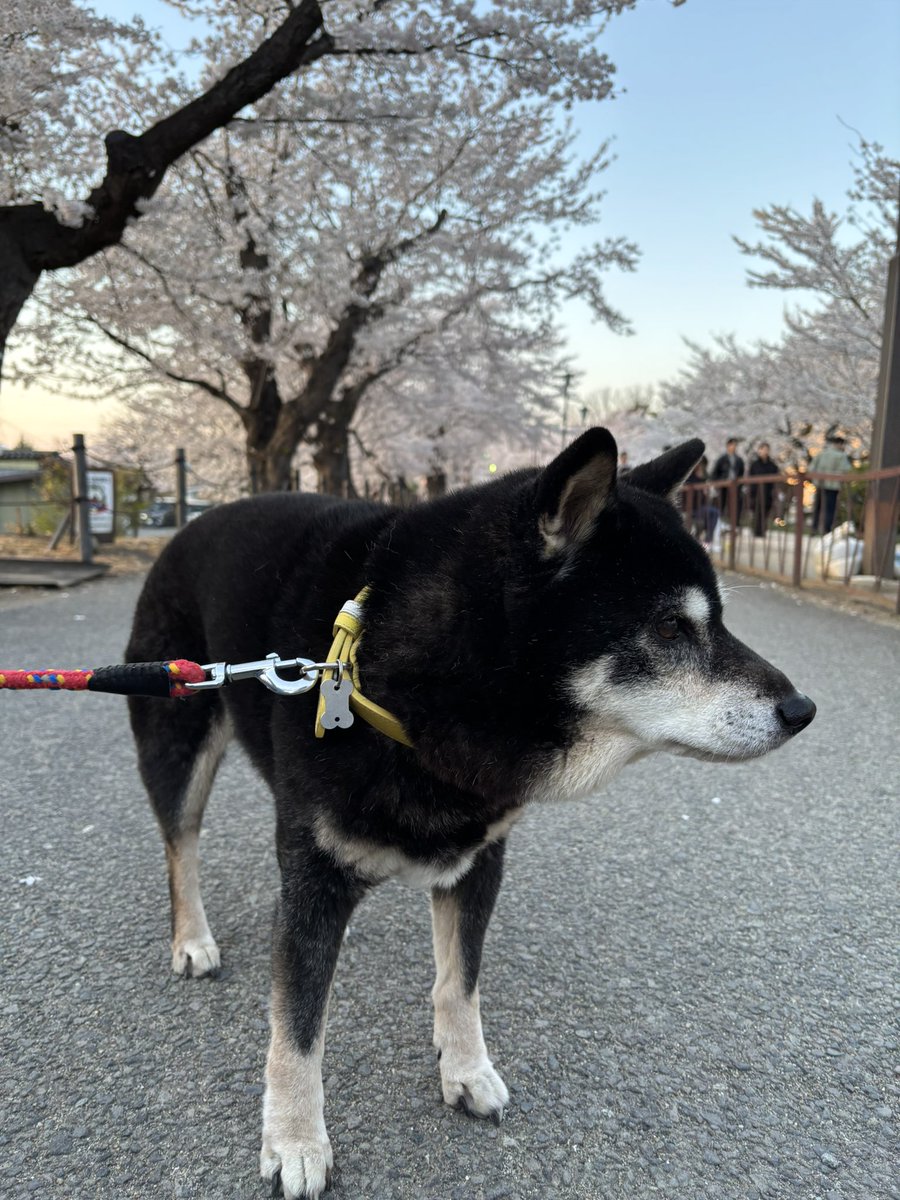 mikko325 tweet media