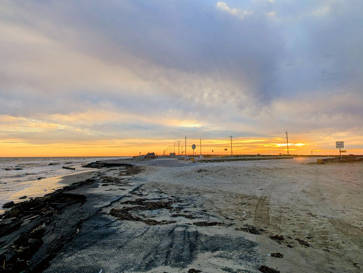 帆立 Hotate/Scallop tweet media