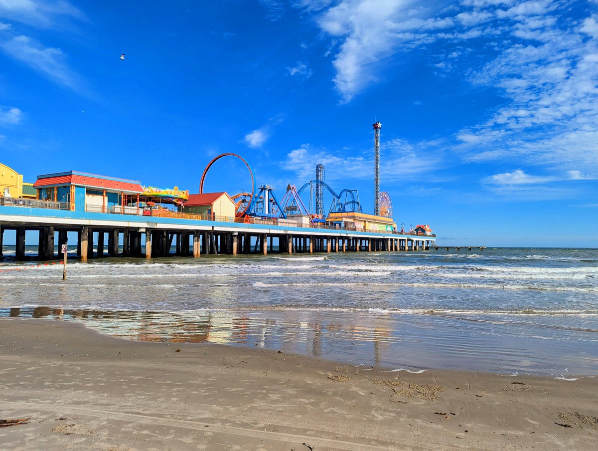 帆立 Hotate/Scallop tweet media