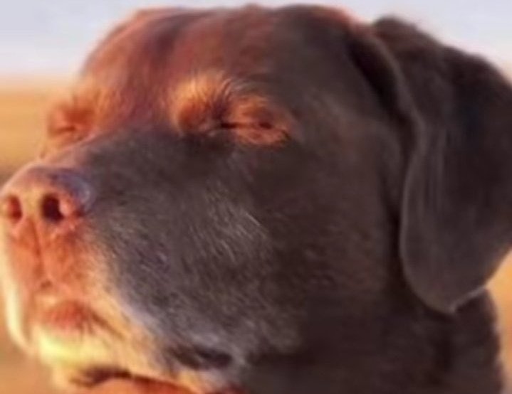 ℝ𝕆𝕄𝔸✞ tweet media