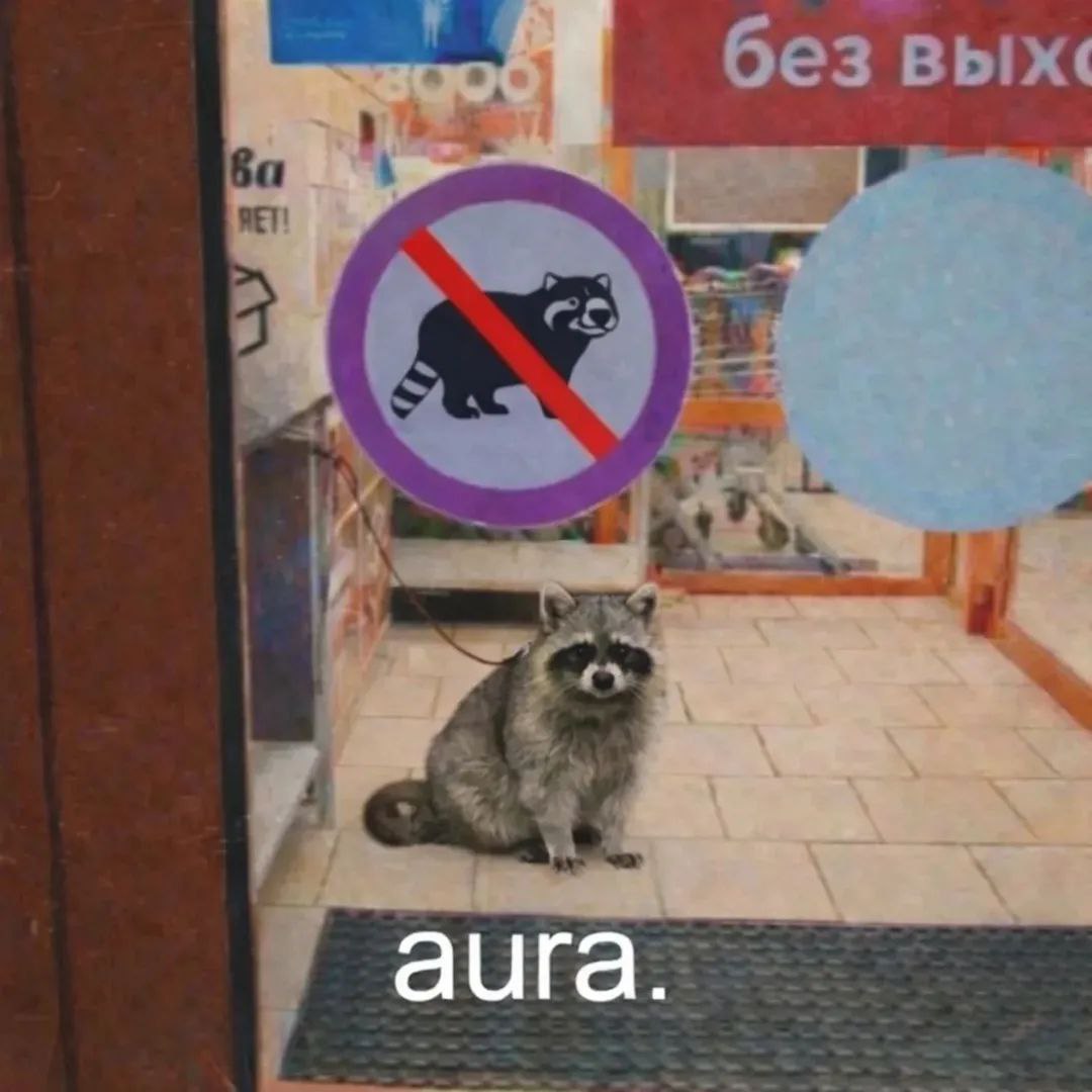 raccoon with confusing auras tweet media