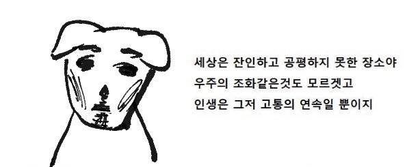 주방장 tweet media