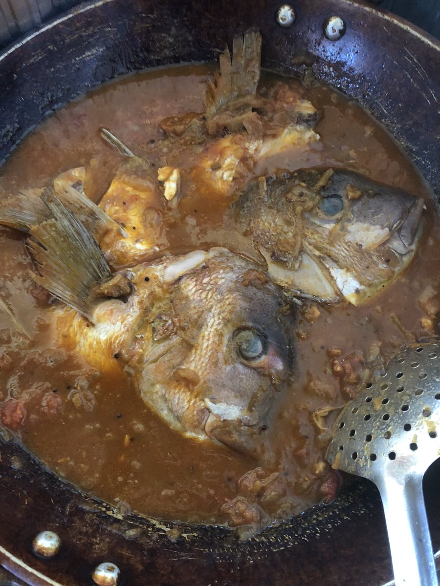 不治野 tweet media