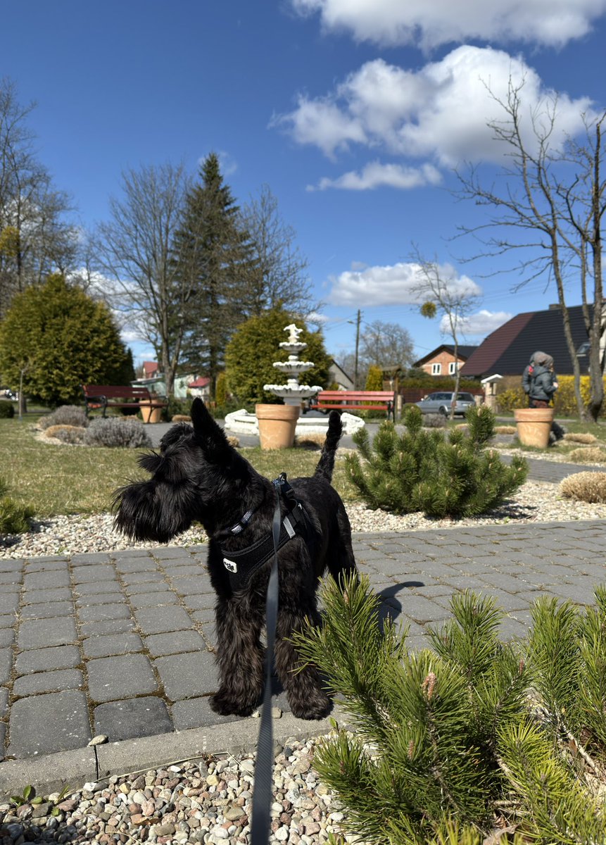 Ja😉nek; 🚴‍♂️💽🥃-🇵🇱🇳🇴„Nie bądźmy obojętni” tweet media