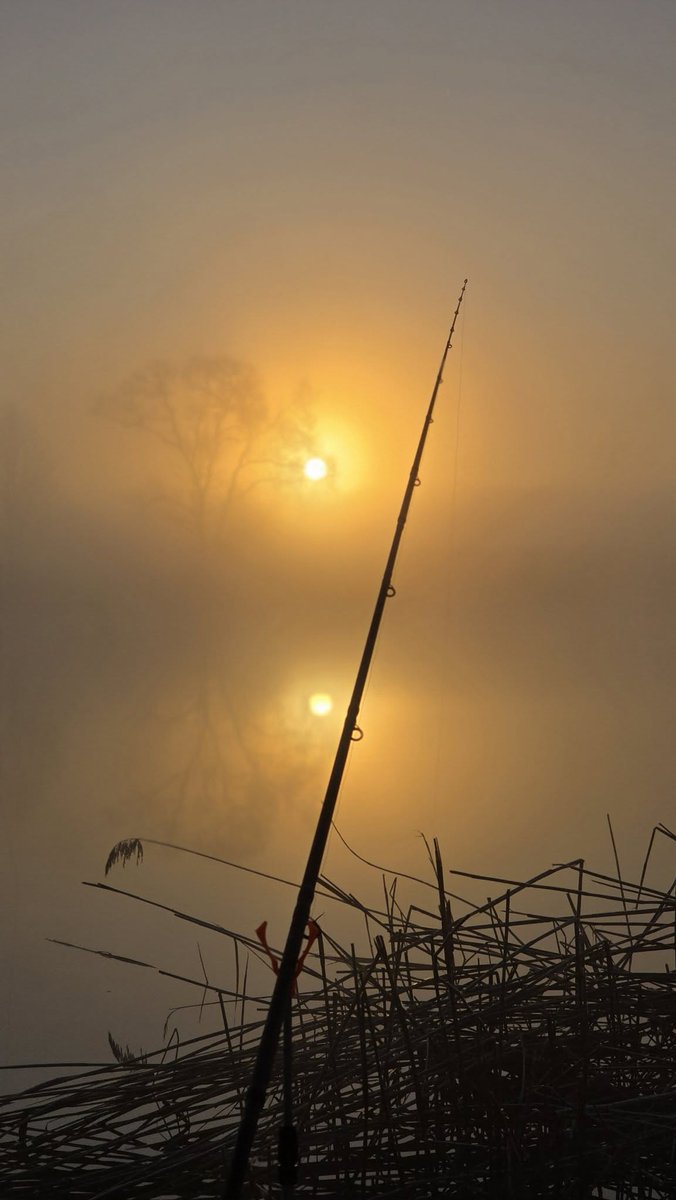 𝐈 𝐛𝐞𝐥𝐢𝐞𝐯𝐞 𝐈 𝐜@𝐧 𝐟𝐥𝐲 tweet media