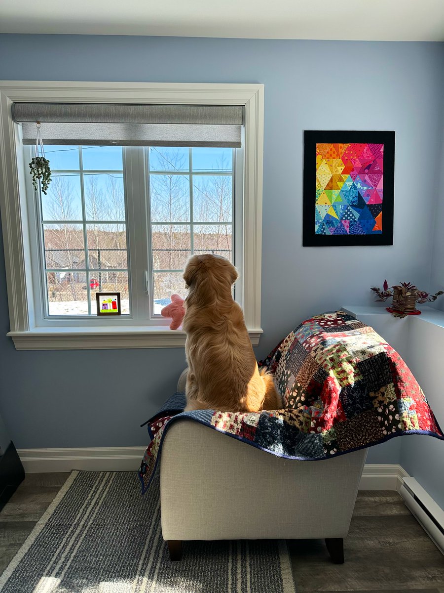 🇨🇦Lynn & Murphy of the North🇨🇦 tweet media