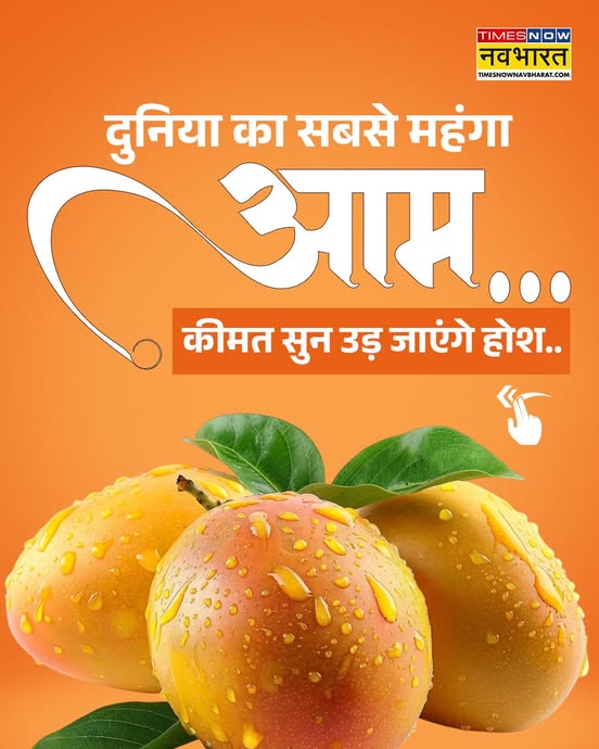 TNNavbharat's tweet photo. दुनिया का सबसे महंगा आम...कीमत सुन उड़ जाएंगे होश!
दुनिया का सबसे महंगा आम.. क्या है खास? जानें
#MiyazakiMango #WorldsMostExpensive #ExpensiveMango #LuxuryFruits #RareFruits #JapanSpecial https://t.co/56tI42sz8z