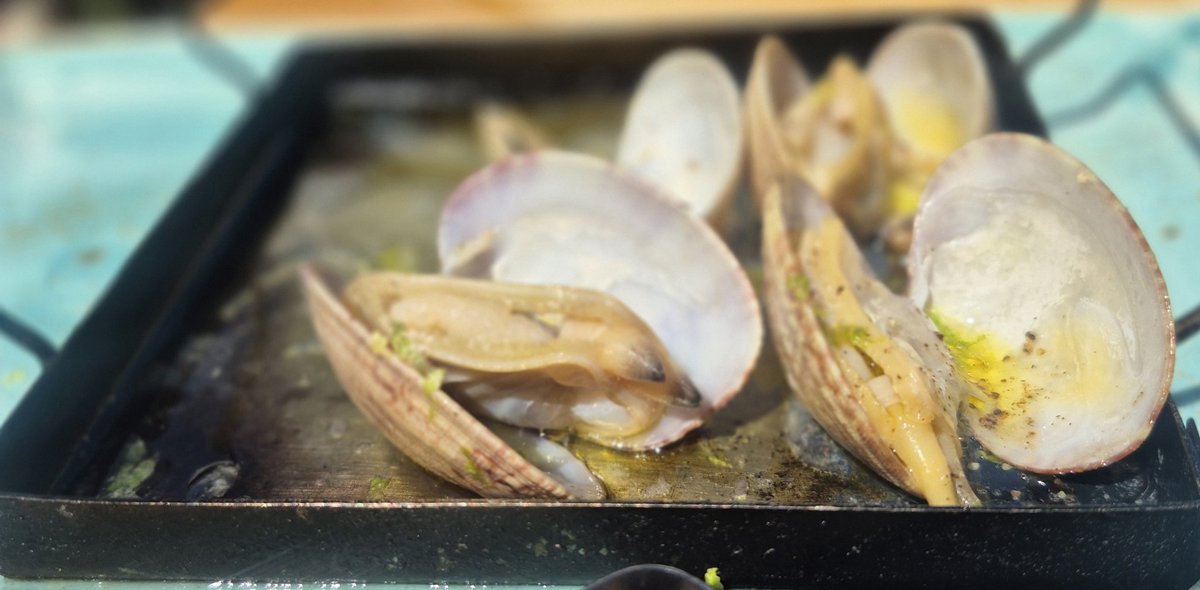 Saltimbanqui tweet media