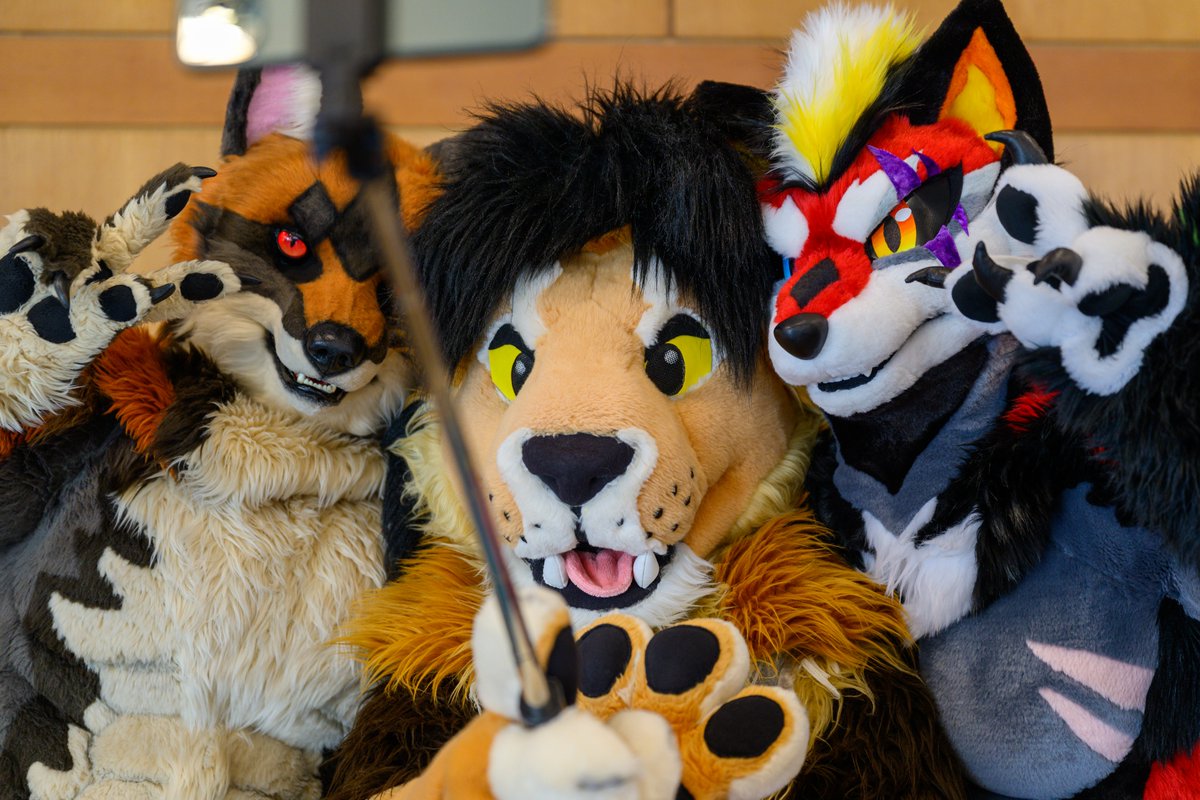 그레이엄 현 tweet media