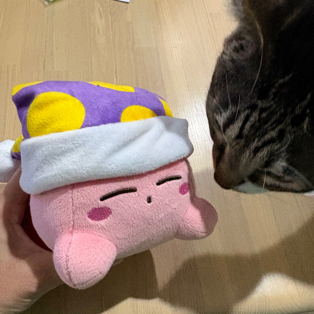 まるさま tweet media