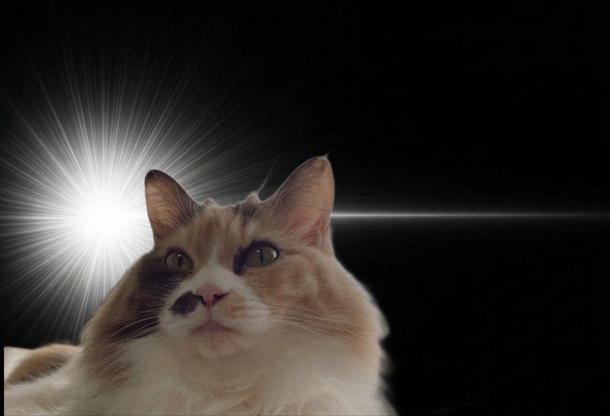 出来た！嬉しい！