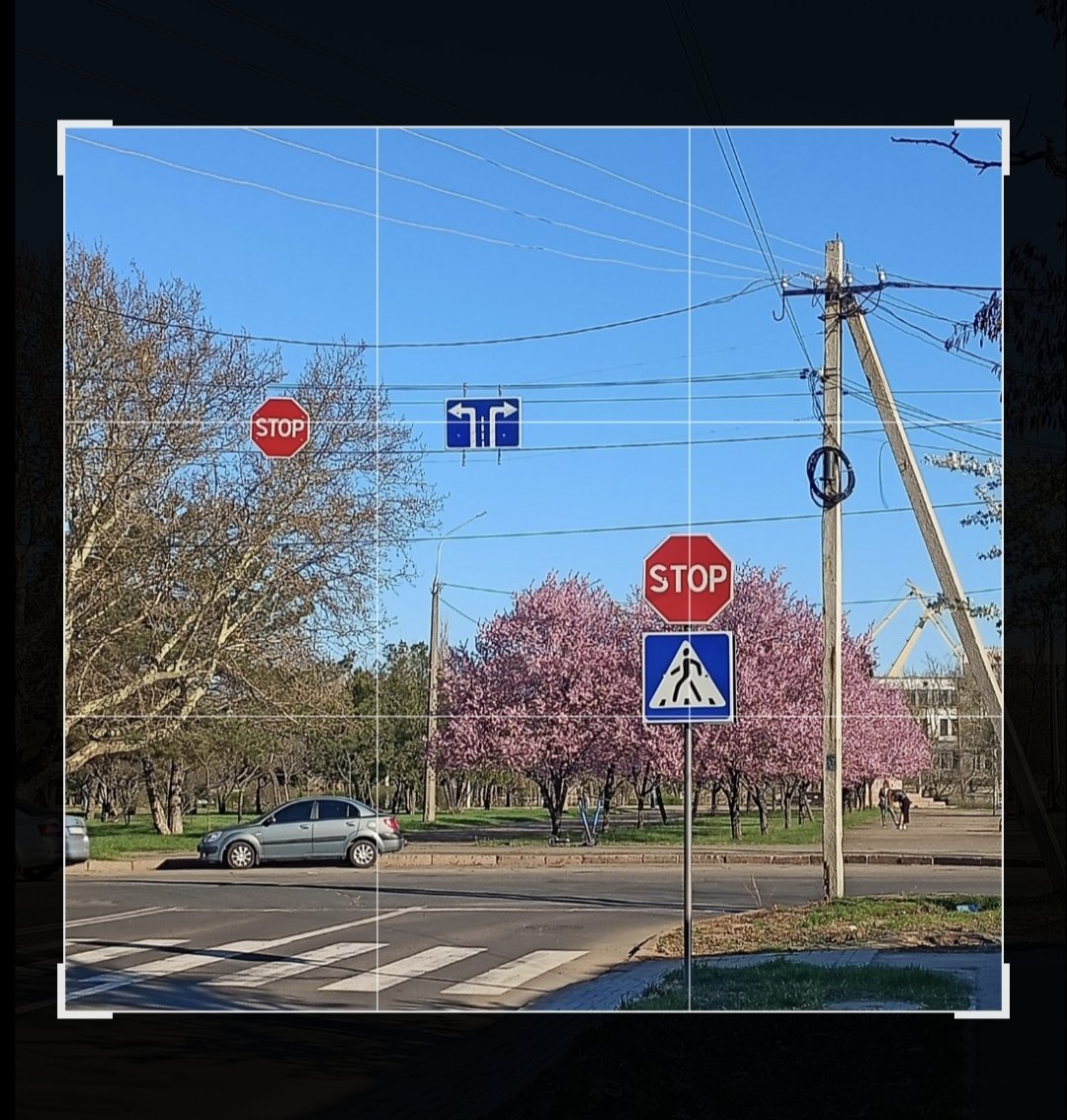 xxiba_rin 🇺🇦🦐 tweet media