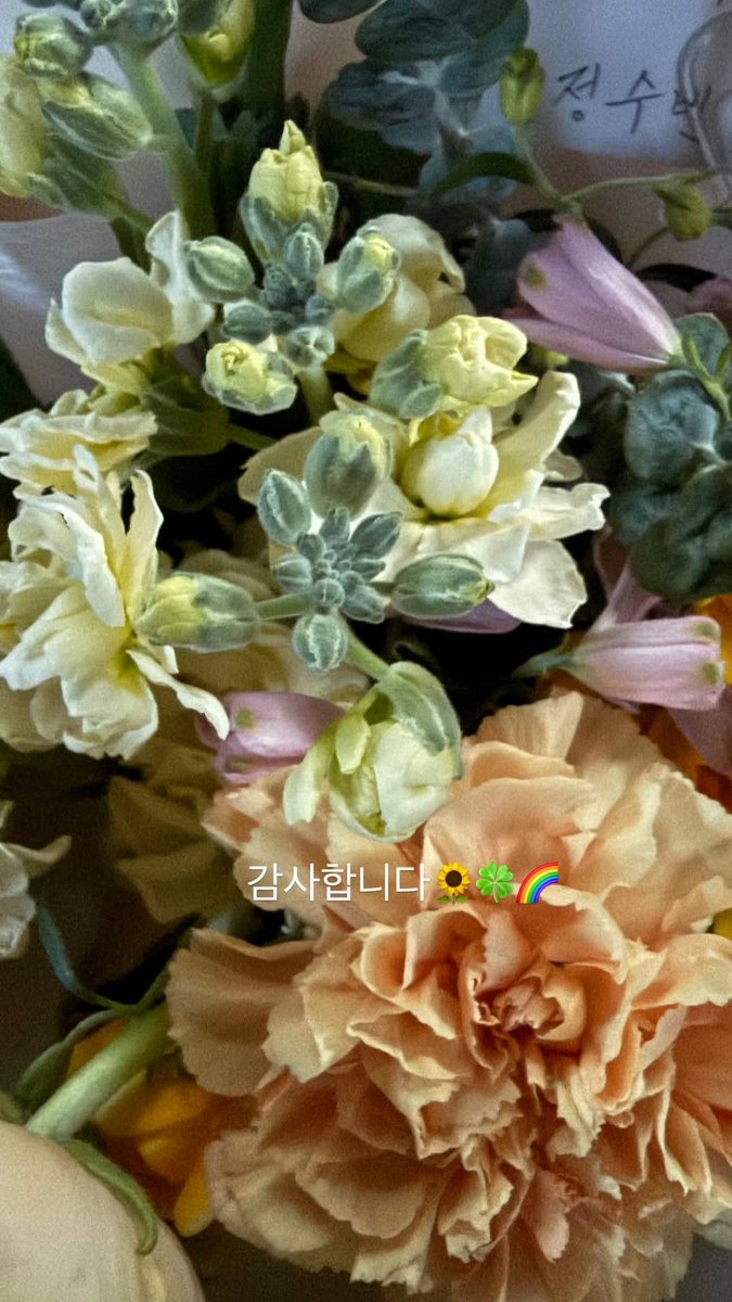 Chung Subin Indonesia tweet media