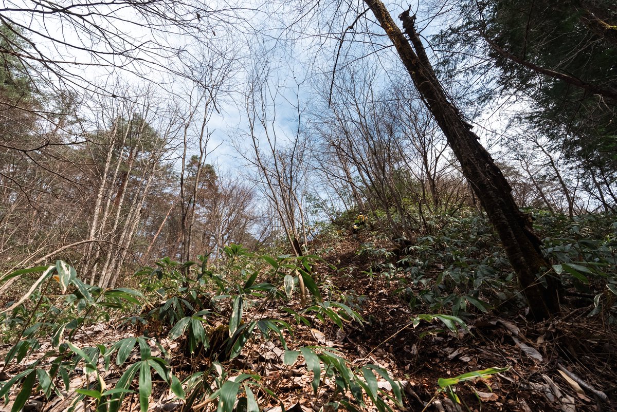 sakaoni_bot's tweet photo. なあ、DR-Z4S。
工場から出荷された時、お前はどんな素晴らしい未来を想像したんだ？

気持ちのいいワインディングを走り、林道を走り、景色の良い場所で休憩？
残念だったな。

テメーは、

こういう所で、

コレモンなんだよ。

#drz4s https://t.co/AFUIyhNJZl