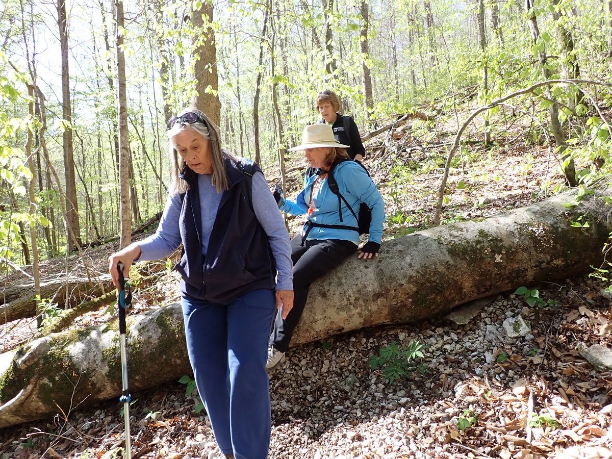 cruzzeroutdoors's tweet image. Hiking/climbing to Balance Rock at Leatherwood Creek, Buffalo National River Park . #searchingforwaterfalls #gohiking #discovernature . Folks soon , the waterfalls will not be flowing after April , so get out there and have fun. During hike #7