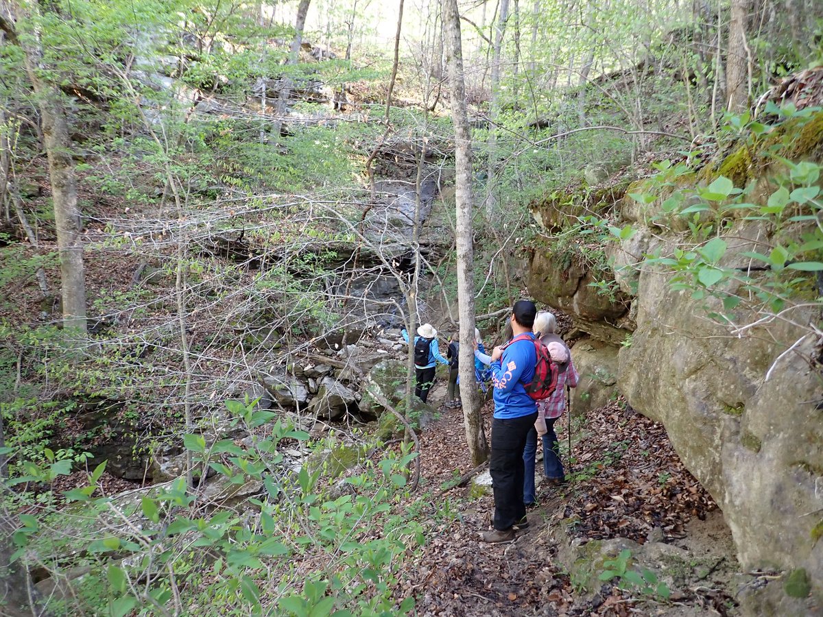 cruzzeroutdoors's tweet image. Hiking/climbing to Balance Rock at Leatherwood Creek, Buffalo National River Park . #searchingforwaterfalls #gohiking #discovernature . Folks soon , the waterfalls will not be flowing after April , so get out there and have fun. During hike #7