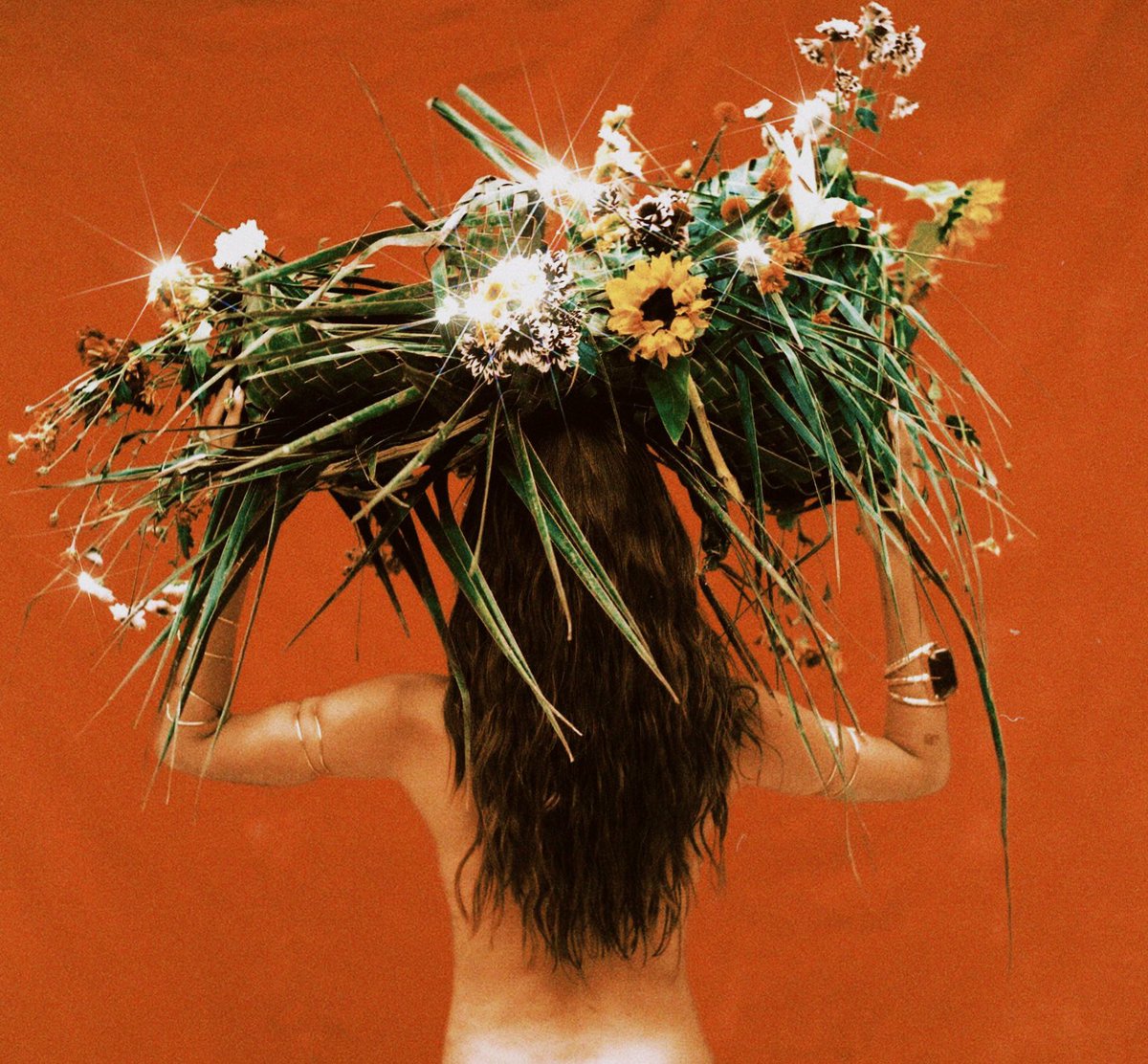 Shakira Brasil | Fã-Clube tweet media