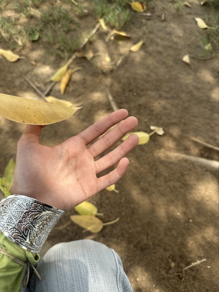 Is it better to speak Or to die? ꩜ tweet media