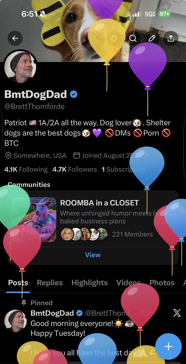 BmtDogDad tweet media