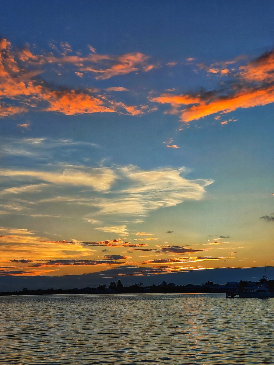 El Grinch. tweet media