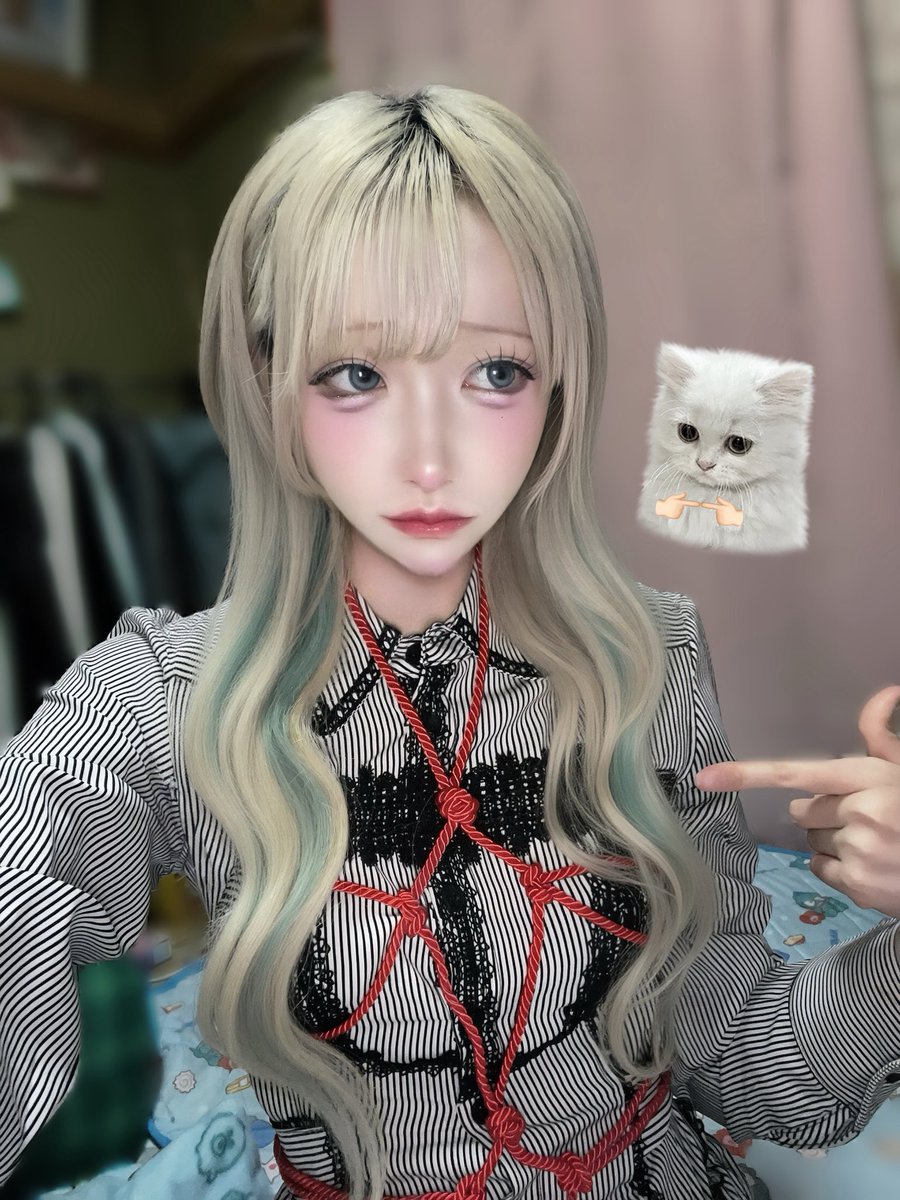 ましろGuild tweet media