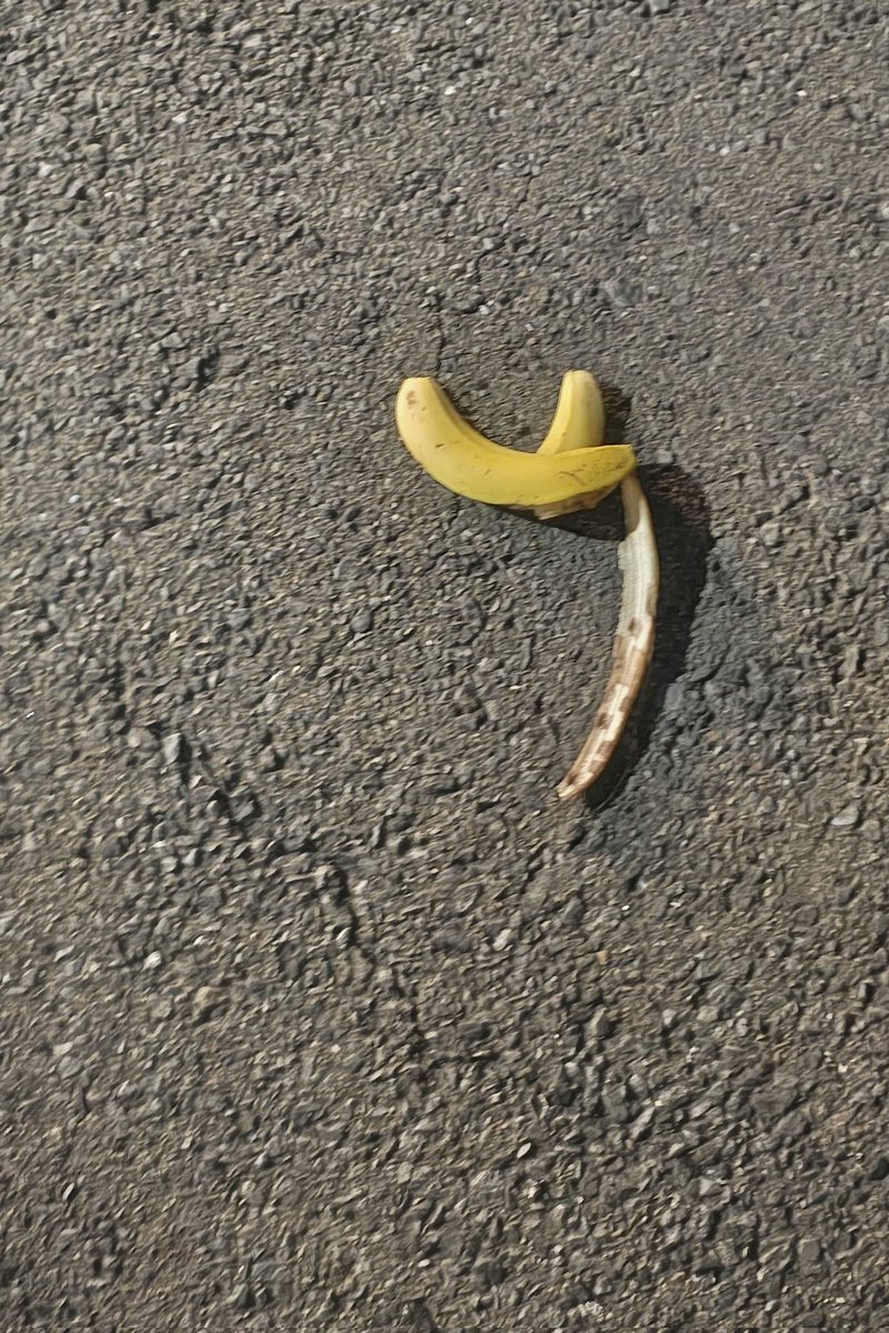 そむ＿＿＿＿＿＿＿＿＿＿ tweet media