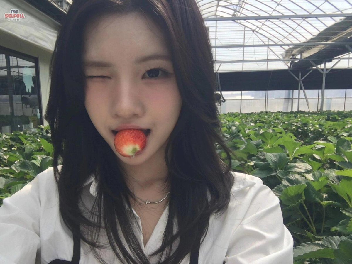 SELFOL ONLY! tweet media