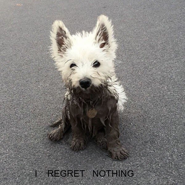 Good morning Friends!     Hope you have an amazing day!                                                                                                            

Never regret anything that makes you smile....