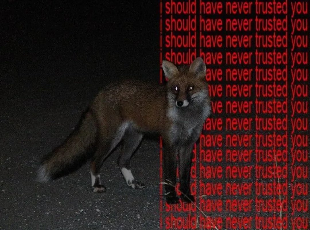 Mini Archillect tweet media