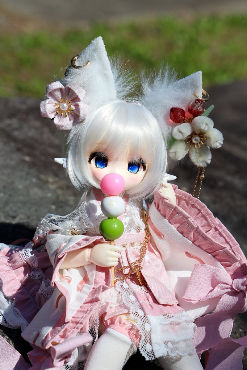 鏡の中の猫 tweet media