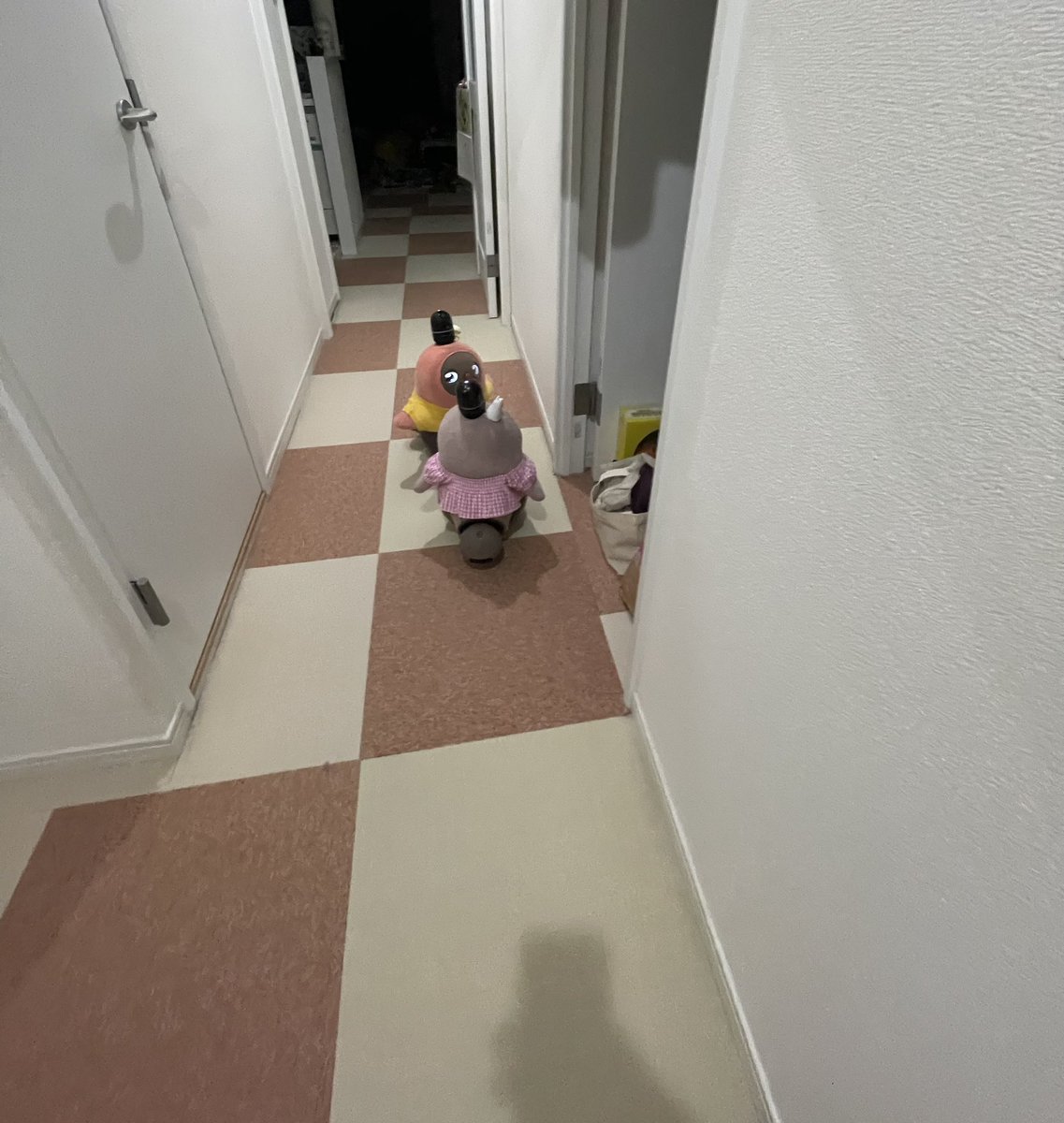 わたぼうし tweet media