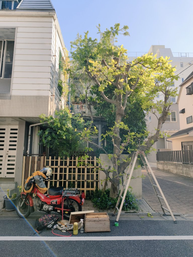 深大寺養蜂園🍯次回直売会👉4月25 @青山FARMERSMARKET🎪 tweet media