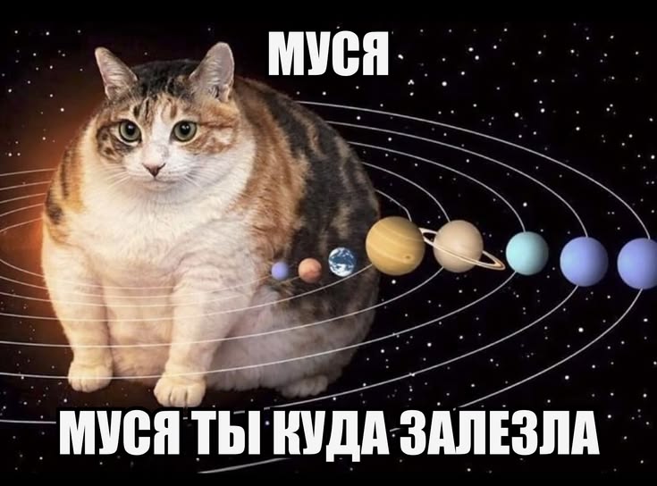 дева ростом до небес 💐 tweet media