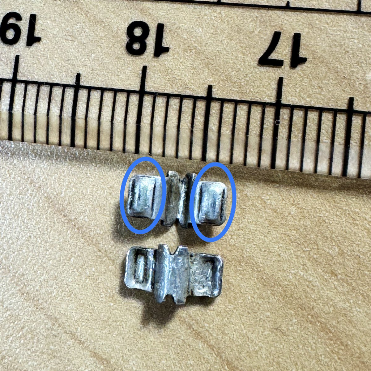 ちびっこ師匠 tweet media