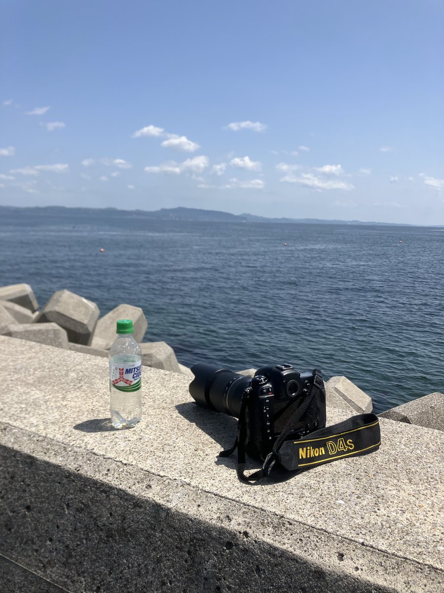 よこてつ tweet media